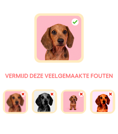Voor een helder en scherp resultaat