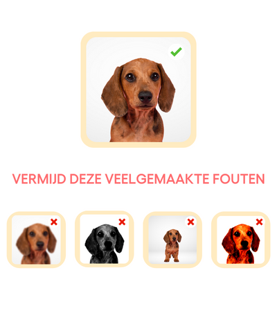 Voor een helder en scherp resultaat